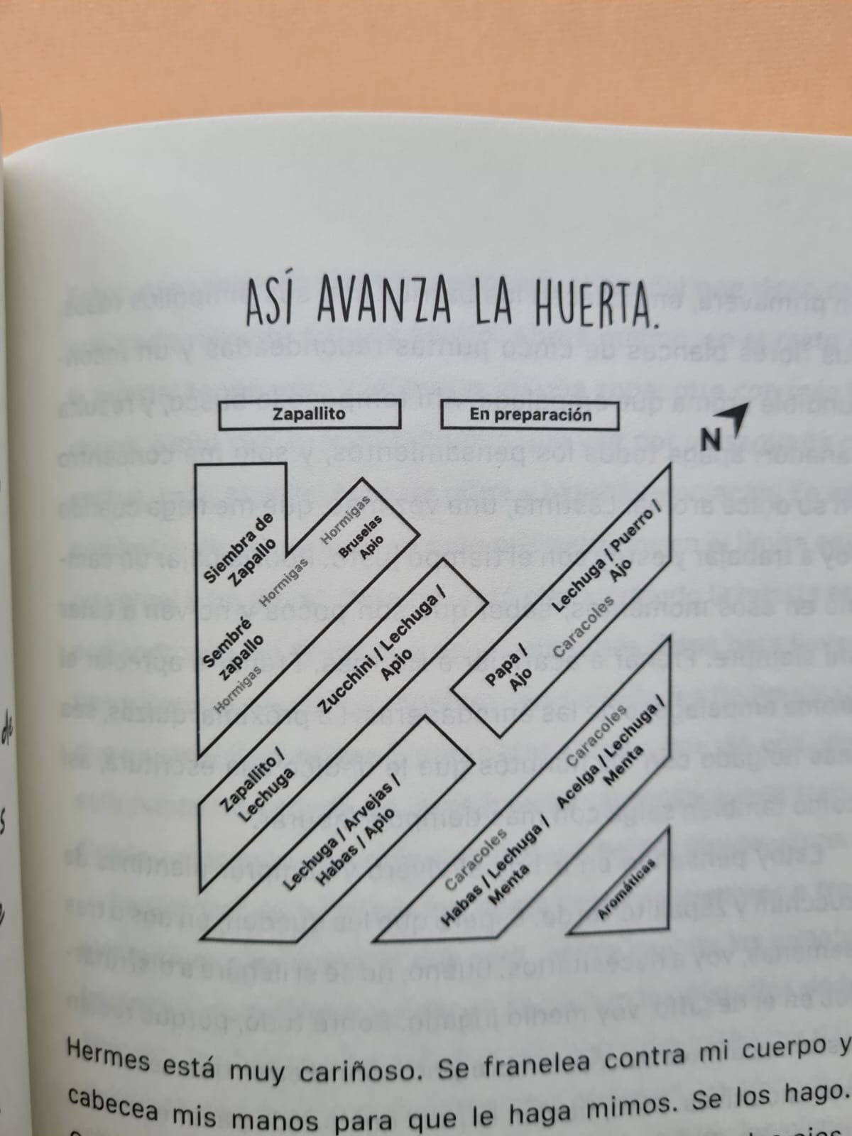 De la tierra a la mesa
