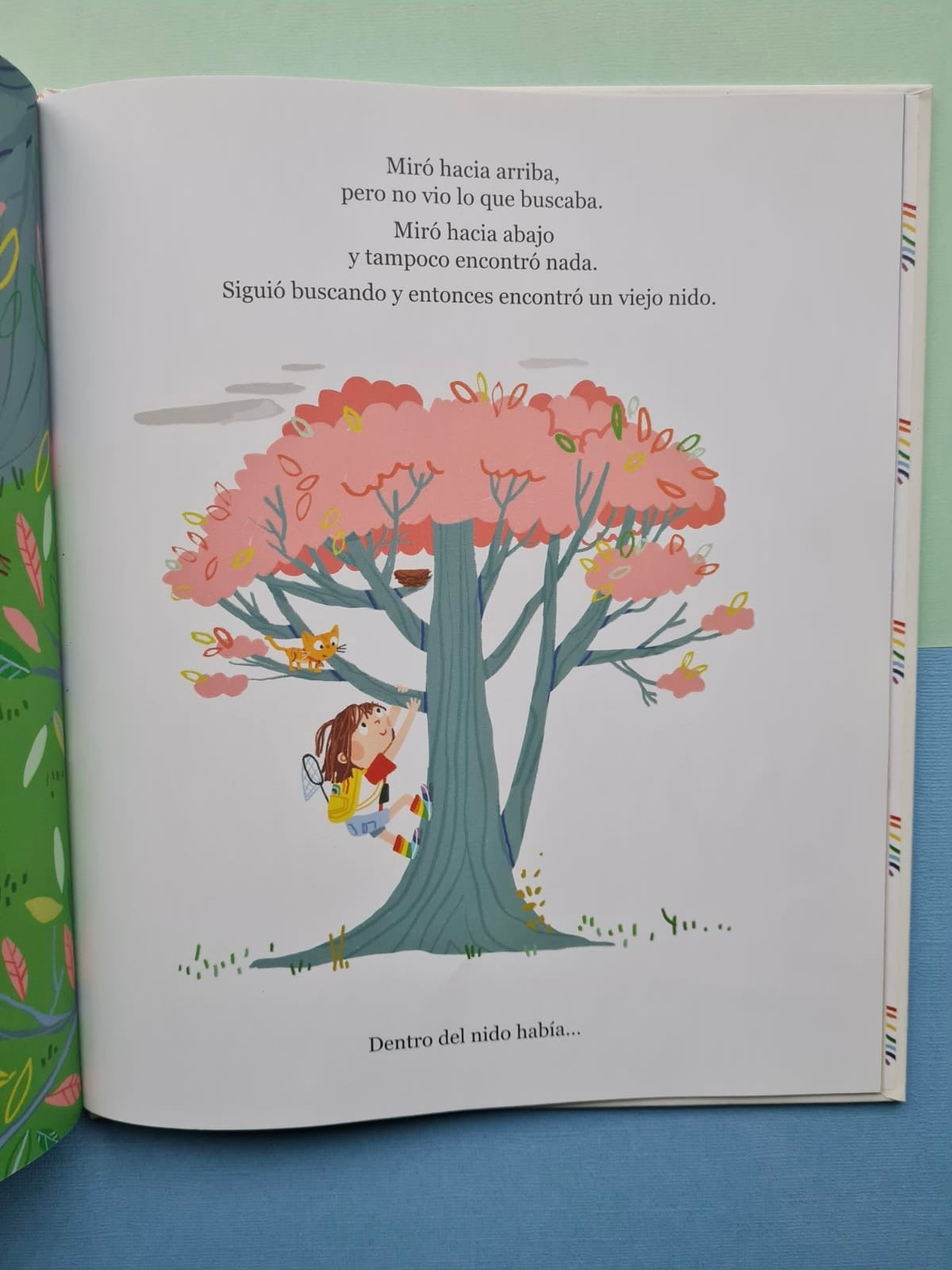 Lola busca el arcoíris